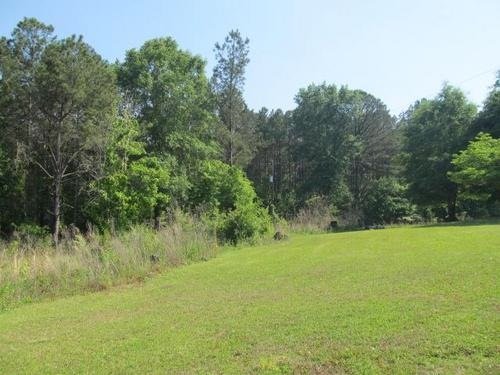 wooded lot in Alabama