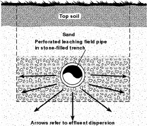 septic cross-section