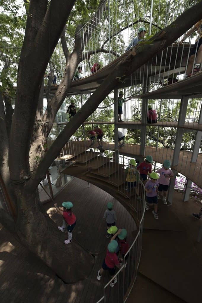 Japanese tree kindergarten 3