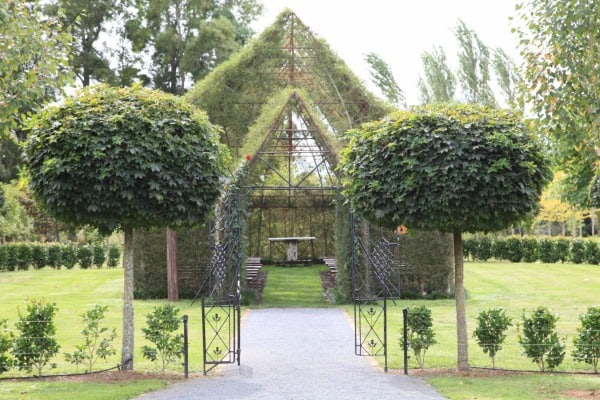 church built from living trees front