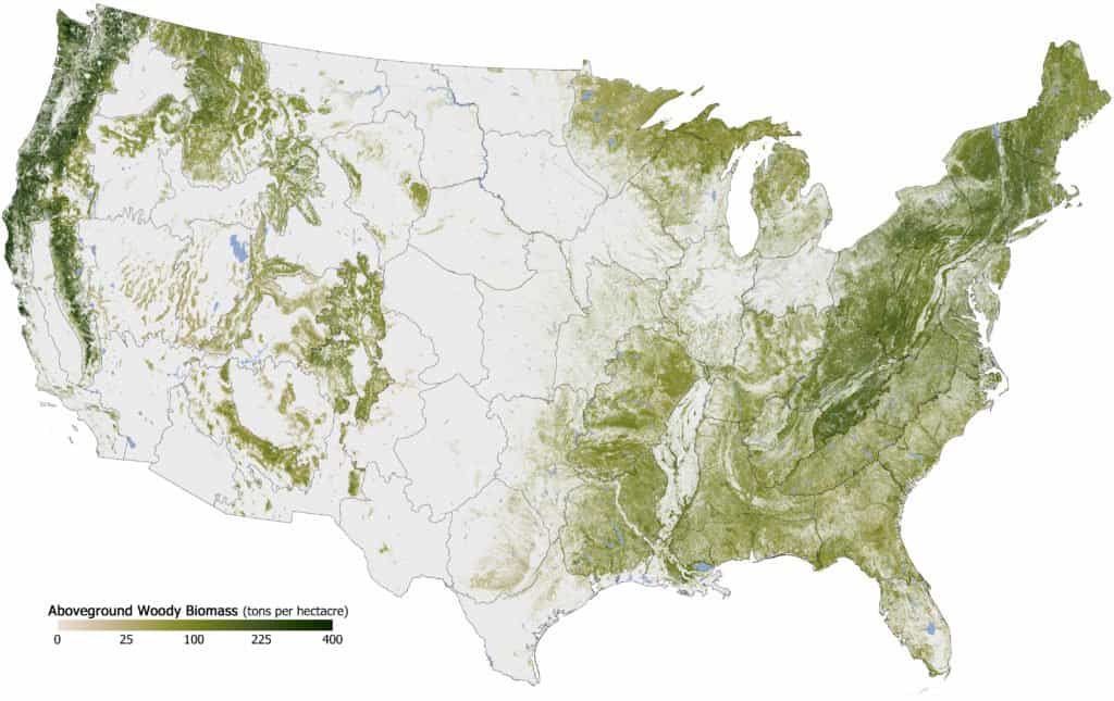 aboveground woody biomass map of U.S.