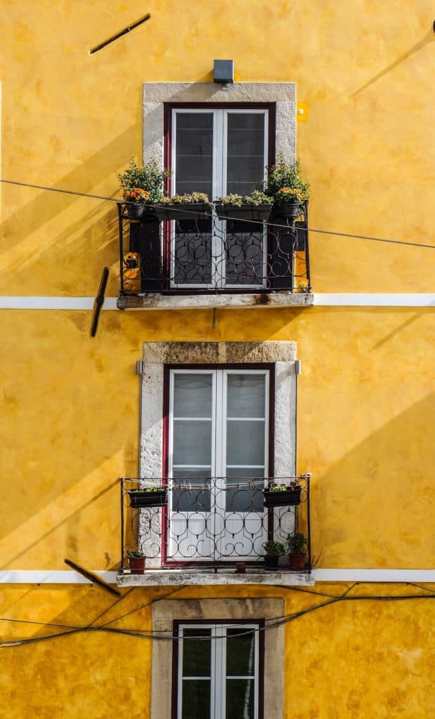yellow wall windows