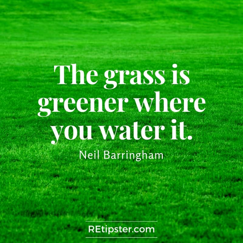 Neil Barringham grass