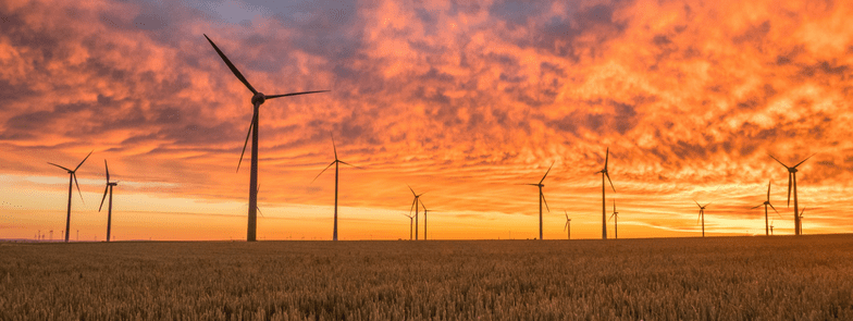 wind farm sunset