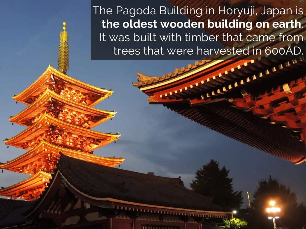 Pagoda Building