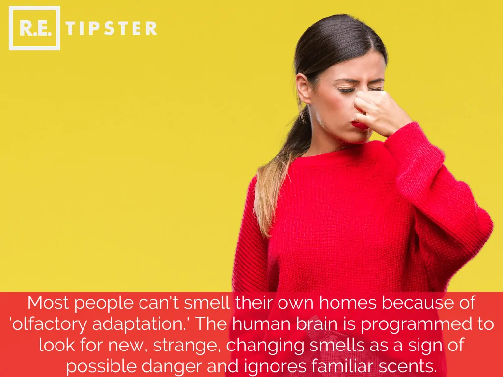 people cant smell their homes