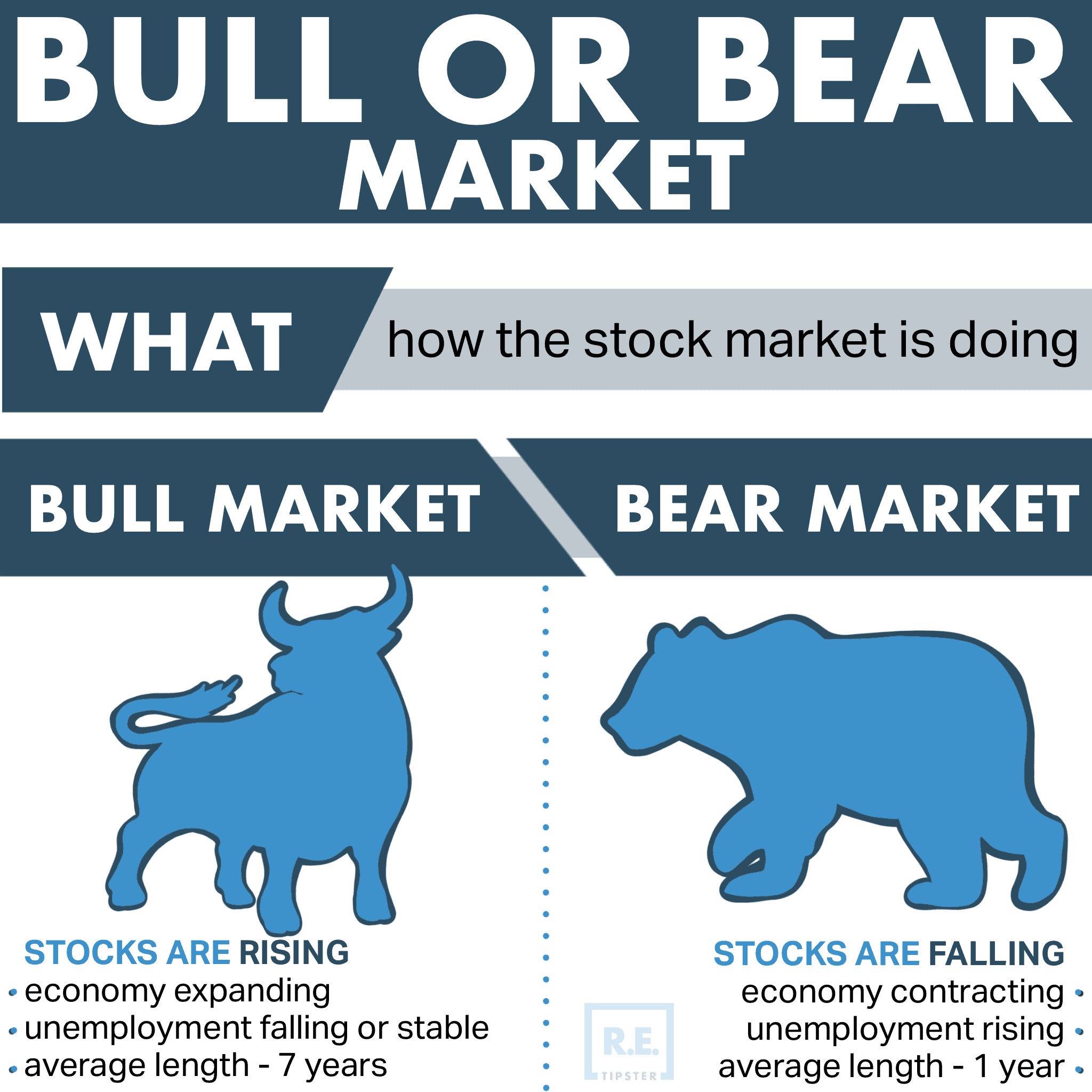 Bull_or_Bear_Market_Infographic
