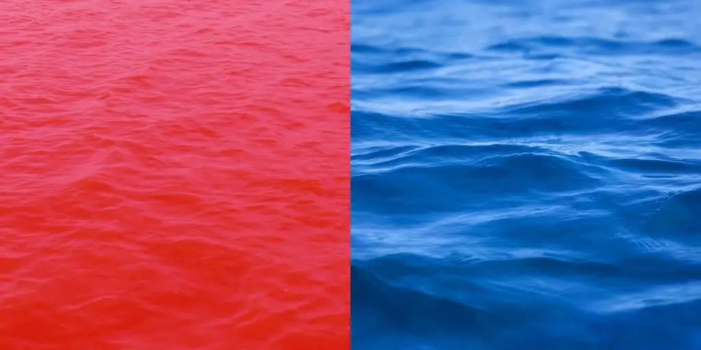 red ocean vs blue ocean