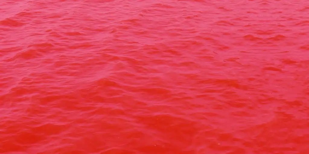 red ocean