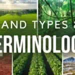 land types and terminology