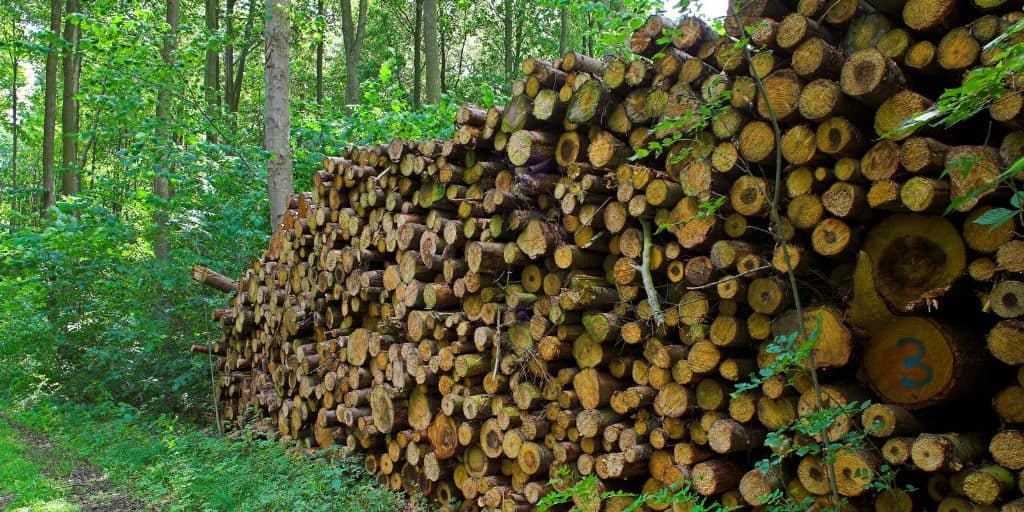 deforestation logs